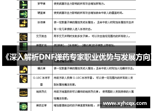 《深入解析DNF弹药专家职业优势与发展方向》