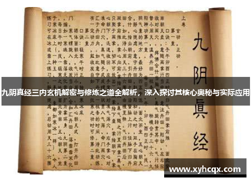 九阴真经三内玄机解密与修炼之道全解析，深入探讨其核心奥秘与实际应用
