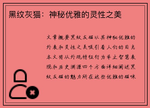 黑纹灰猫：神秘优雅的灵性之美