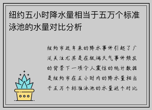 纽约五小时降水量相当于五万个标准泳池的水量对比分析
